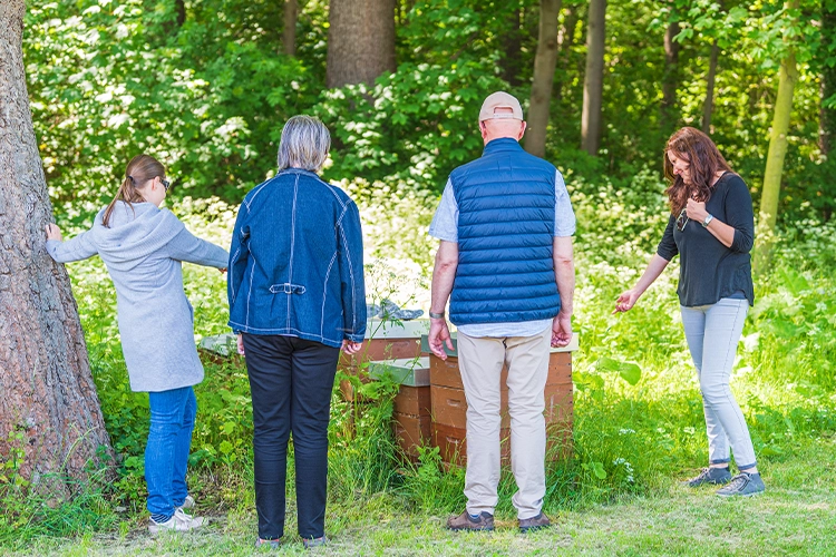 Gruppe steht im Wald um Bienenkästen