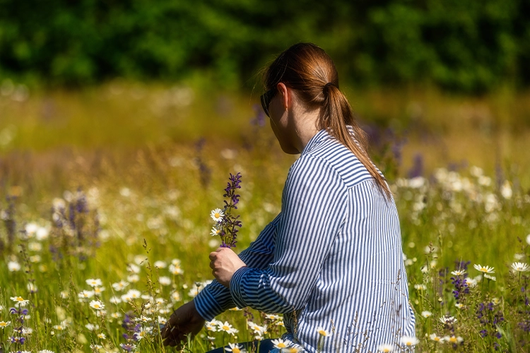 Person pflückt Blumen auf einer Wiese
