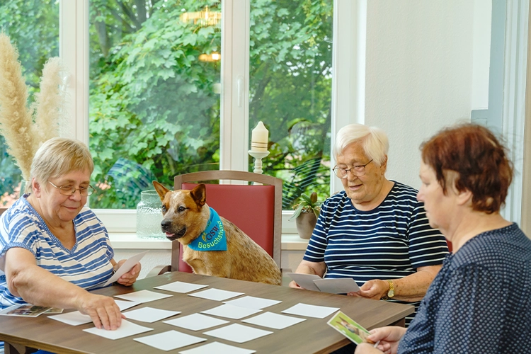 Seniorinnen spielen gemeinsam ein Spiel mit einem Hund am Tisch