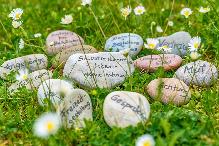 Bemalte Steine liegen im Gras zwischen Blumen