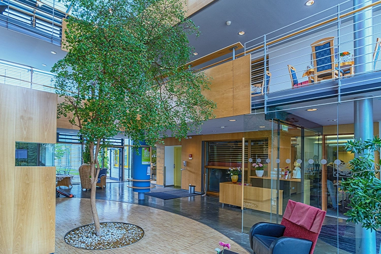 Heller Innenbereich mit Galerie und Baum