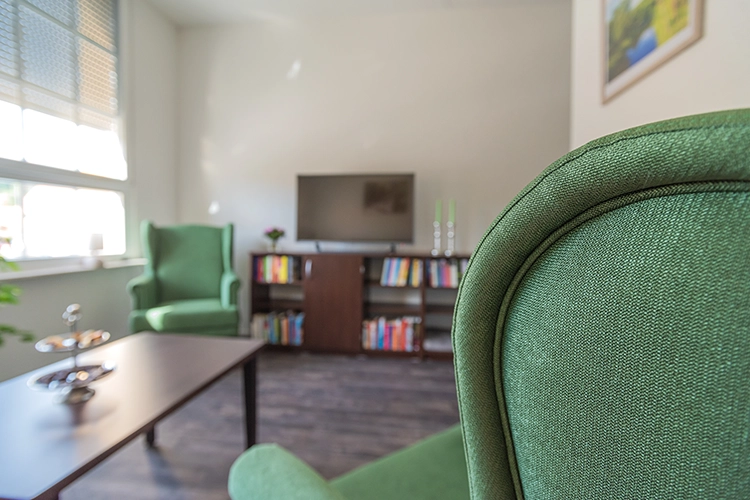 Gemütliches Wohnzimmer mit grünen Sesseln, Bücherregal und Fernseher