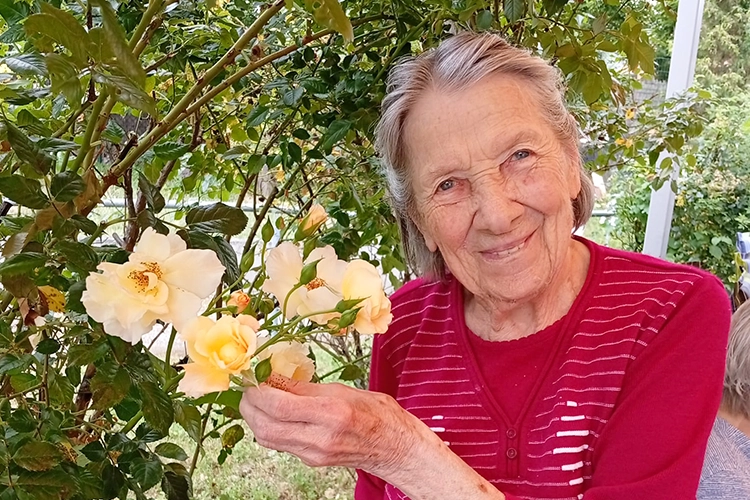 Ältere Frau in rotem Cardigan lächelt und hält gelbe Rosenblüten an einem Strauch.