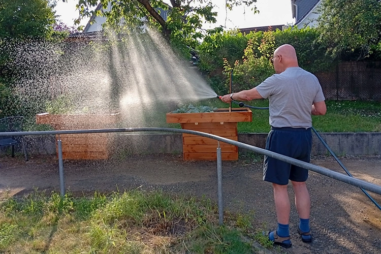 Ein Mann bewässert ein Hochbeet mit Gartenschlauch.