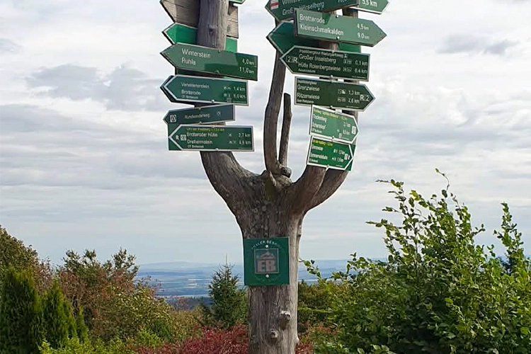 Wegweiser mit vielen grünen Schildern zu Wanderzielen im Thüringer Wald.